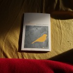 Η ηχώ των πουλιών - Θανάσης Δ. Σταμούλης